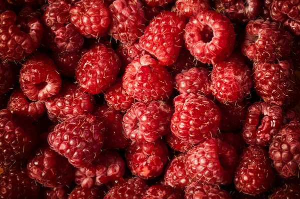 Quels sont les meilleurs conseils pour prendre soin d'une peau mixte en hiver ?